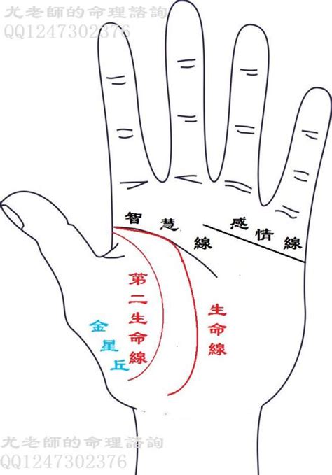 生命線有兩條|手相之生命線詳解